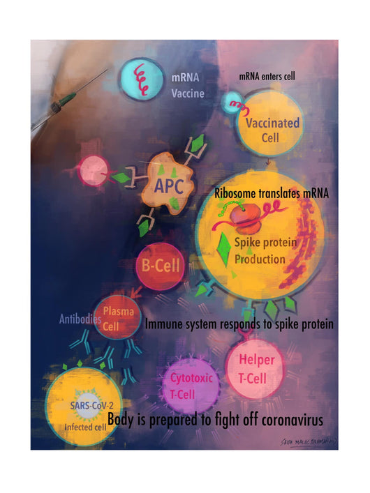 mRNA Vaccine